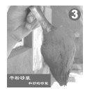 文本框:  